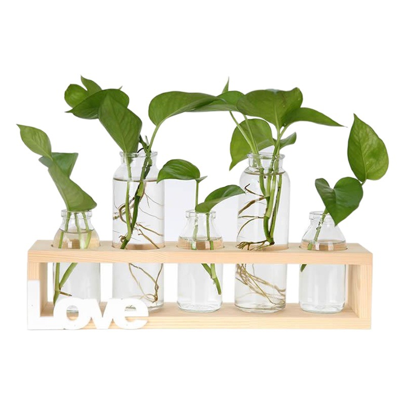 Soporte de madera creativo florero de vidrio hidropónico planta de rábano verde decoración de escritorio transparente Pequeño contenedor decoración de escritorio de oficina