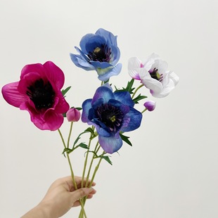 ��� �yɏ�� 1��1�����^�̬F�� �Ӱ��g�Ҿ� �ۘǲ��廨�仨�b�