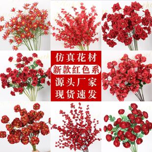 10֦�b�tɫ���滨��c���� ��Y�����b��廨��õ��tɫϵ��ˇ