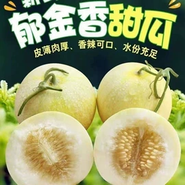 方便面类;膨化;传统糕点