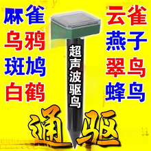 �����1000�ס���B��������Bș�ڿƼ�����̫����s�B���B���B��