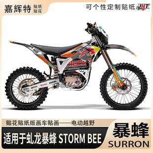 �m����A������ SURRON STORM BEE�N���残�N���N��܇�N���N