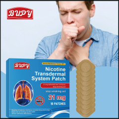 禁煙パッチ 英語禁煙補助パッチ 植物エキスによる喫煙依存症緩和 携帯用ボディパッチ 越境卸売 新商品