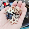 Starfish coffee color system mixes 3cm [frosted] single