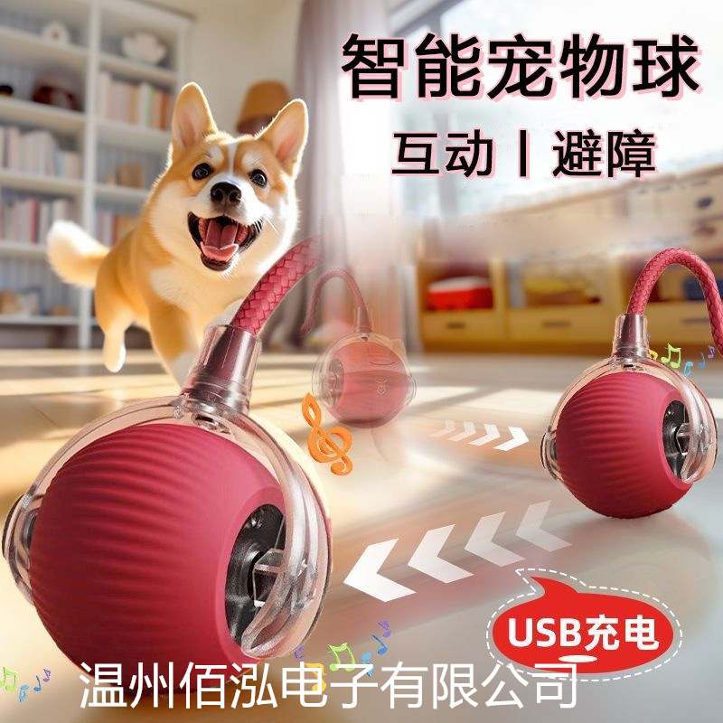 Cross-border bite-resistant automatic cat ball cat toy ball self-hi to relieve boredom with rope pet supplies jumping ball