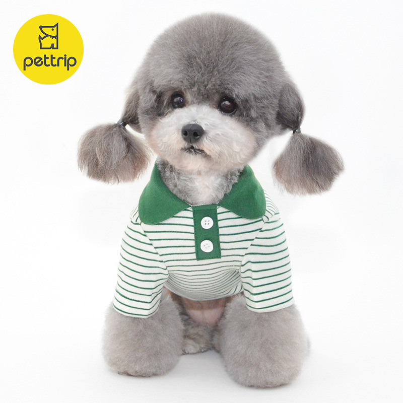 베투 개옷, 애완동물옷, 개옷, 두발옷, 폴로셔츠, 테디포메라니안옷, 고양이옷