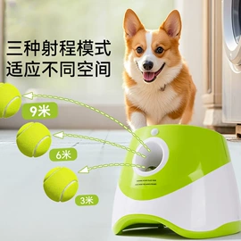 狗狗服装;狗狗窝/笼/垫;猫猫窝/笼/垫