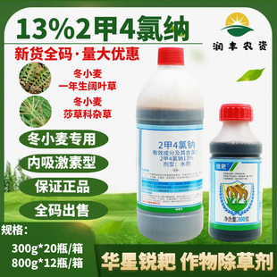 �A���J��13% 2��4���c ���������cС��������p���rș���݄�