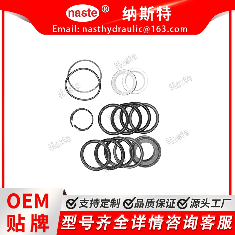 Case G32294 Торнадо Тяжелое оборудование для Case G109484 Комплект гидравлического цилиндра уплотнения