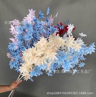 ������~���~ �uצ���~��Y�õ�픽����b���̨�c�Y�����Ĕz�ٻ�