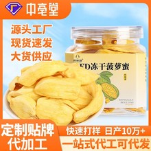 菠萝蜜干水果干散装波萝蜜脆片 果蔬脆零食 厂家货源批发整箱发货