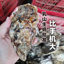 ��ɽ�����ޟo�����l50����1��ȫ��ĵϠ�r��rˮ�a�[����Ϡ��