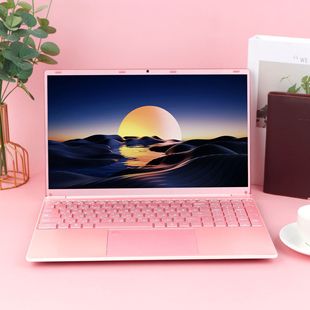 Cross-Border Supply of New Laptops N5095N95 Pink Frame