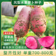 �P���}���N�ӼtƤ�t���}���N���ļ��＾���߮a�̨�����r���߲���