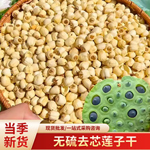 通芯白莲子干货粉糯香无硫熏农产品去芯莲子手工去杂质干莲子无芯