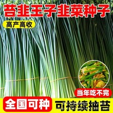 ̦Nļ̦²˷N̦²̦ԭbļ߲˷NӴȫ˷N