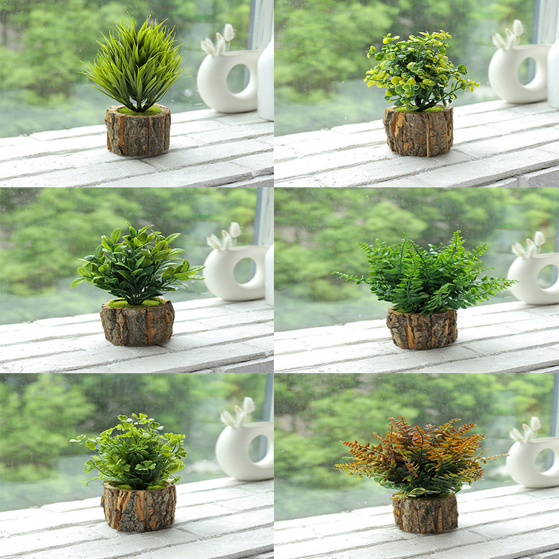 Set de plantas verdes en maceta de 6 piezas O ☆