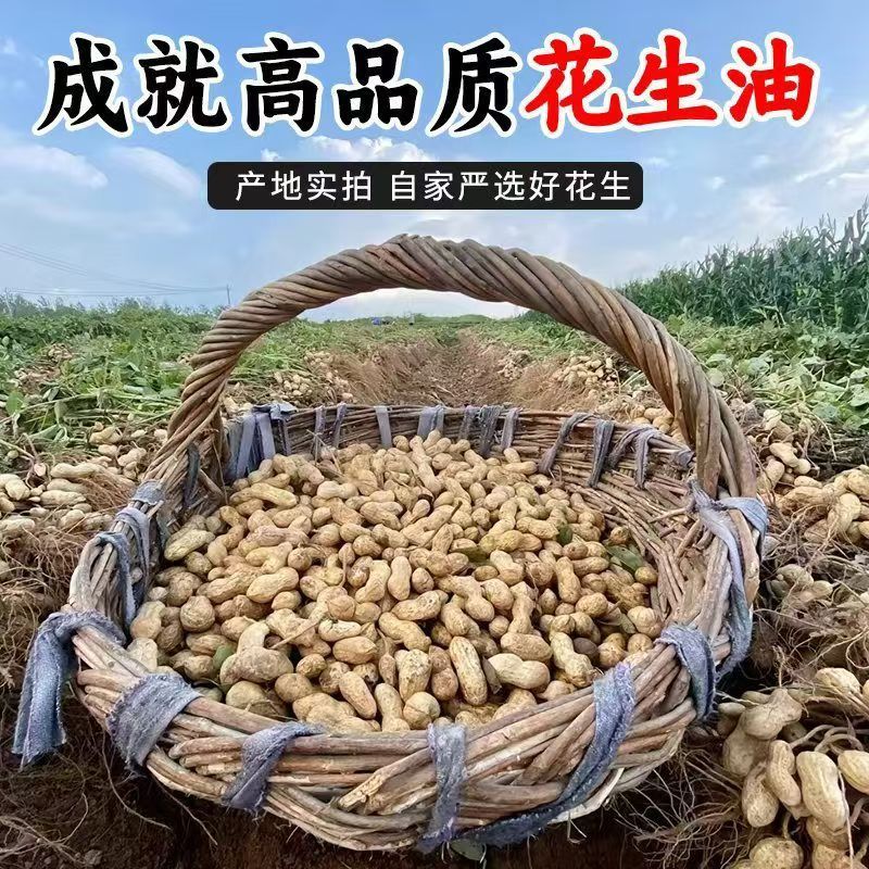 ファーストレベル24添加揚げ食用油、農家自家製ピーナッツオイル、濃厚無香料、本格的な新油圧搾年5|undefined