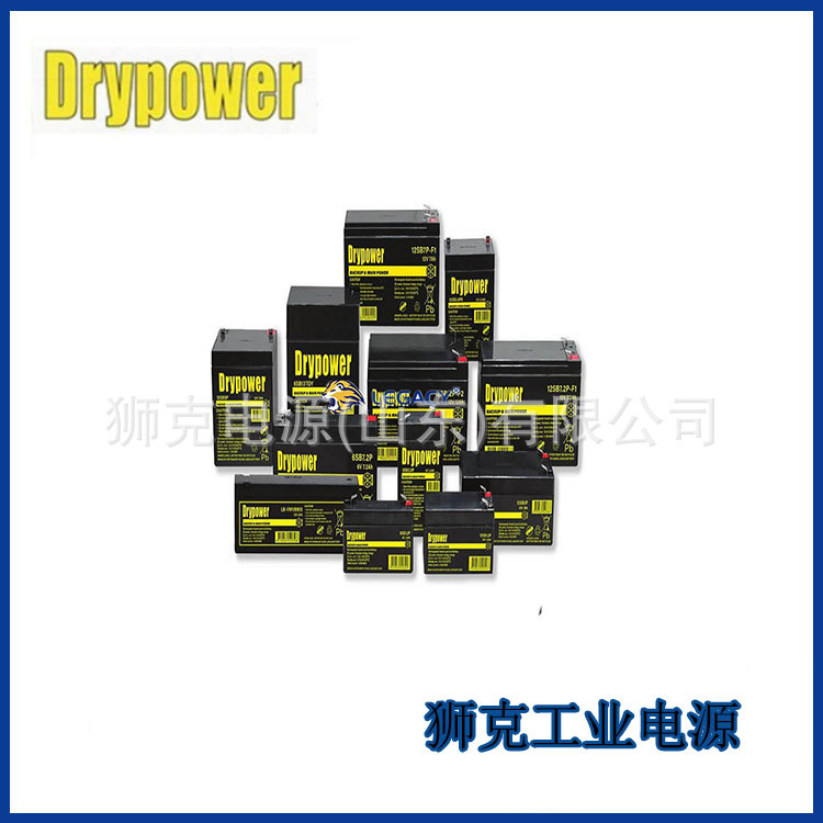 美国DRYPOWER蓄电池12SB24C免维护储能12V24AH门禁电梯系统