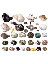 ľзÚQؐ~Ȼؐ~ˮbƷ[