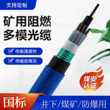 MGTSV-8Aú�V�ö�ģ���| MGTS33-8B�V����ȼ��ģͨ�Ź��|