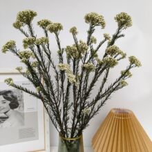 С�׻����������r������ ��޹���λ��Ĕz����diy�o�Ļ��Ĺ��S���l