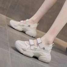 2026�ļ��¿��L�A�^���p�����W�t�W�������L��׷�����Ь�n����Ů