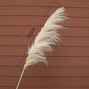 �JȔ�ɻ���Ȼ������ظ�֦�������s�p�ݼҾ��b͏d�[��������Ȕ