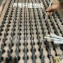 芦苇杆蜡烛机
