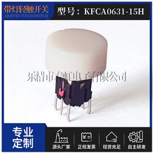 SҰI_PKFCA0631-15HtS{G׵ɫ׵op|