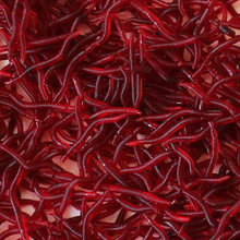 SltxDɢbζСQ·ܛDxҹ