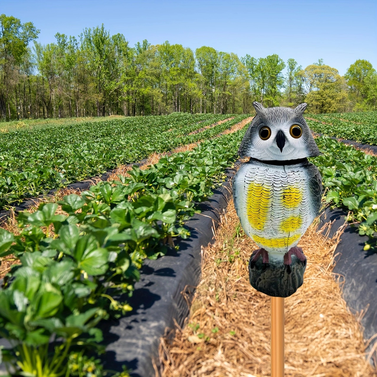 Amazon simulación de plástico de estómago blanco búho cabeza giratoria jardín terraza ornamentos repelentes de ratas pájaros Shenji