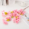 Rich cherry blossom deep powder