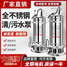 潜水泵304全不锈钢污水泵家用220V高扬程耐腐蚀抽水机化工潜水泵