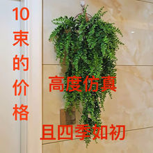 ���ϻ�����ֲ��ڒ첨˹�ٗl�ٻ������b��m�Gֲ��G�~�٘��~