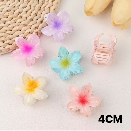 Amazon Bestselling Small Number Flower Egg Hairpin Gradient Egg Flower Claw Clip Fashion Shark Hairpin Sweet Hairpin
