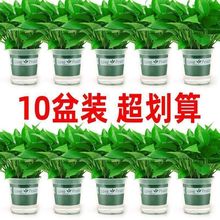 G}҃ȺBȩ՚ˮֲGֲԾGjl