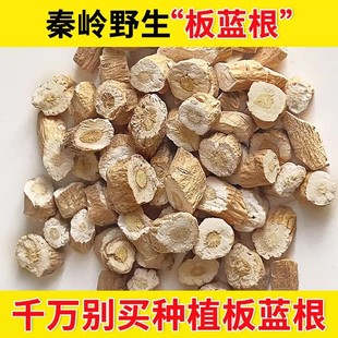 【真野生】正宗板蓝根农产品板蓝根中药精选板兰根草药块板蓝根粉-阿里巴巴
