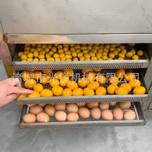 ʳƷP䓾WzɚPurrȸPɷəC