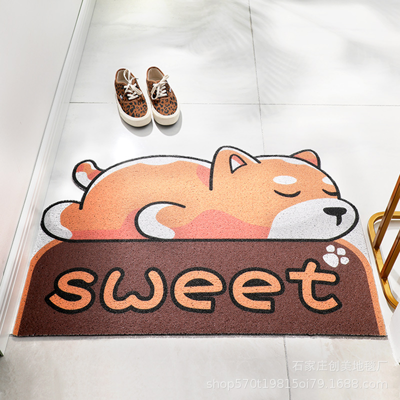 Floor Mat Door Entrance Door Mat Household Door Waterproof Foot Mat Internet Celebrity Plastic Silk Ring Cute Cartoon Carpet