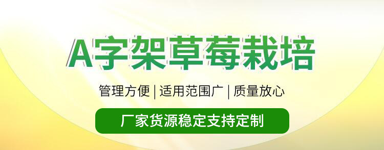 A字架草莓栽培.jpg