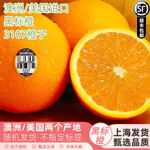 现货澳橙进口黑标3107脐橙子5斤多汁当季水果大果HoneyCrisp包邮