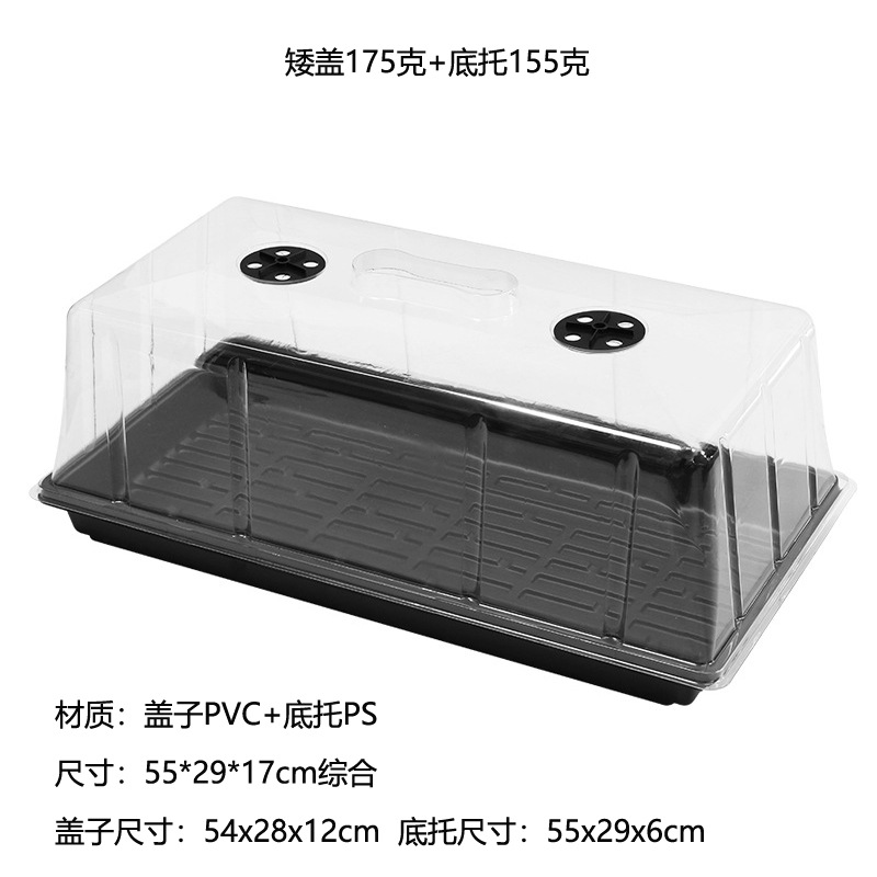 aigai+ps155.jpg