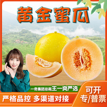 �����x�������S���۹� 3���^���۹����r�����S����ܹϑ���ˮ��