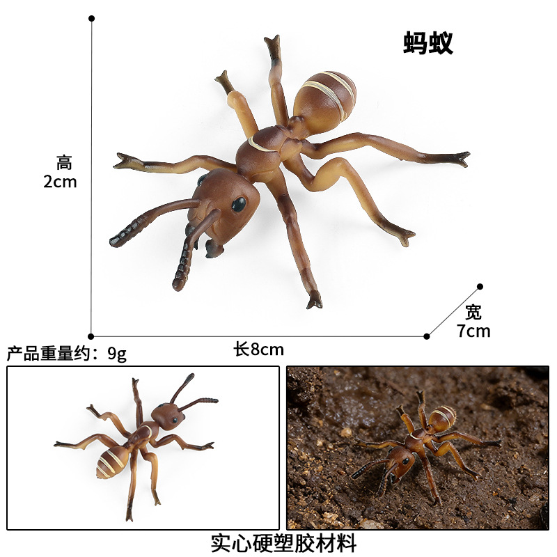 M-2237 Ant