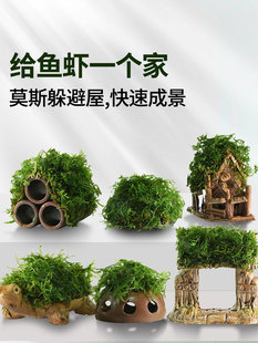 Fish Tank Isolation Box Turtle Guppy Special Landscaping Moss Water Plant Lazy Real Plant Fish and Shrimp Shelter Tank House