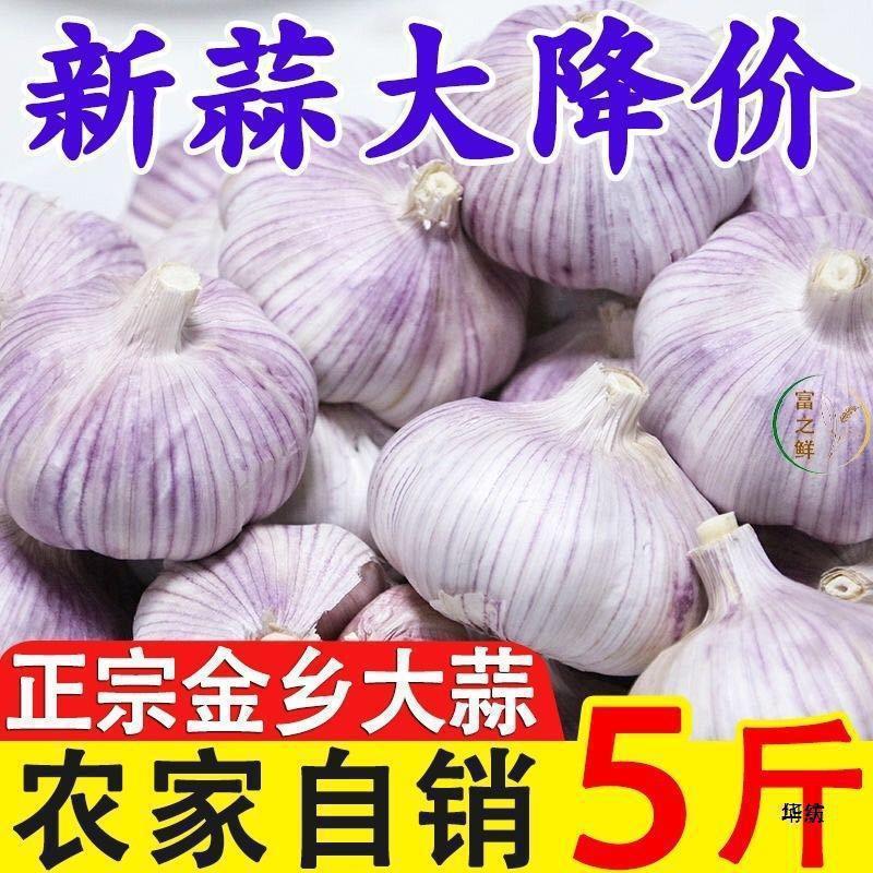 新鲜祘头籽批发3斤山东金乡斤2023大蒜头干蒜5斤蒜子10农家紫皮|undefined