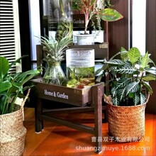 实木伸缩花架加厚折叠落地多肉架子阳台花架简易花架伸缩客厅架子