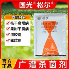 ɠ׻`݆yɸzܾGrș¼ڗU