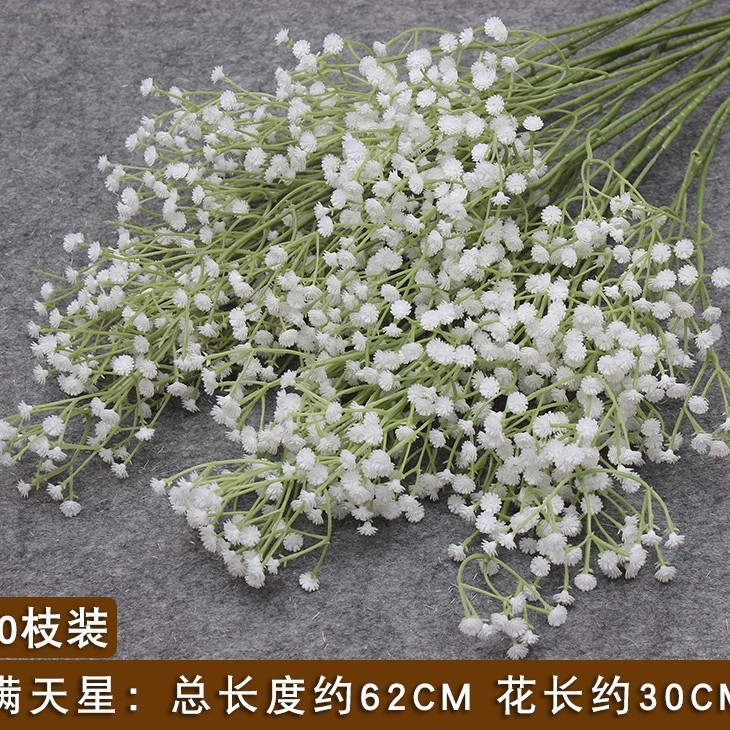 흰색 gypsophila/1 가지
